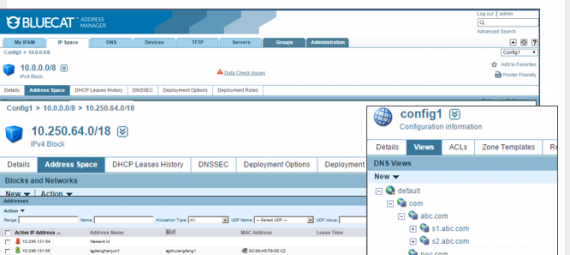 BLUECAT 网络DDI解决方案